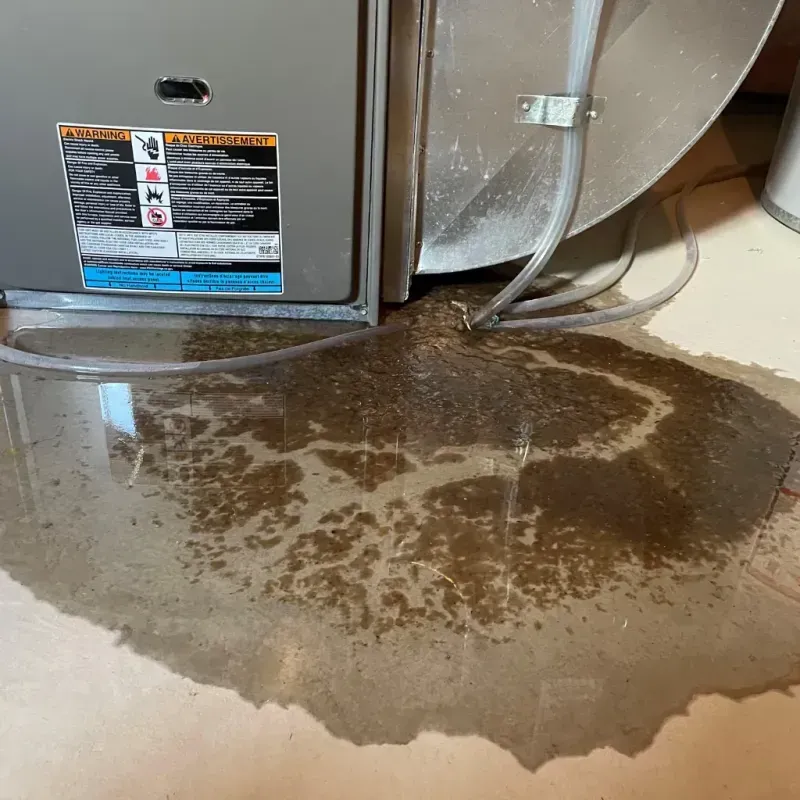 Appliance Leak Cleanup in Eureka County, NV